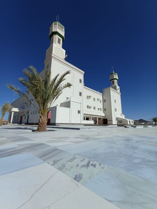 مبانٍ تجارية وحكومية ومساجد